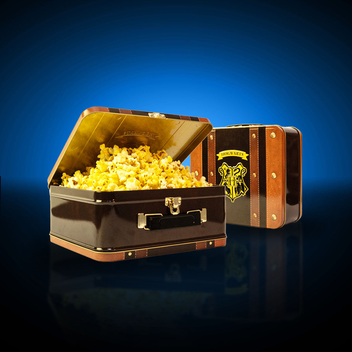 Harry Potter Tin Lunchbox
