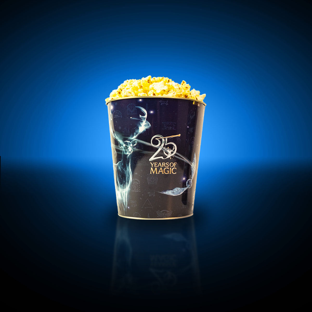 Harry Potter 25 Years of Magic Popcorn Bucket