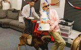 jackass: best and last