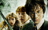 4DX: HP25: Harry Potter and the Chamber of Secrets
