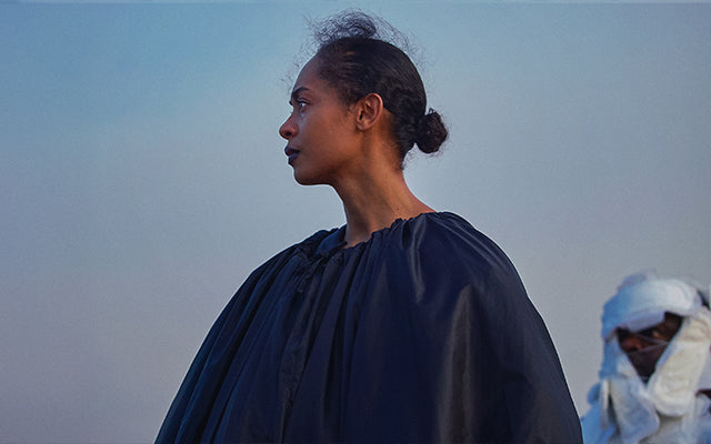 On Becoming a Guinea Fowl