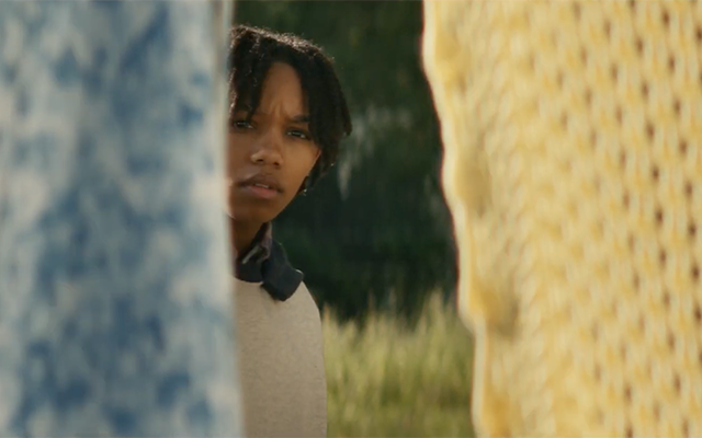 The Woman in the Yard