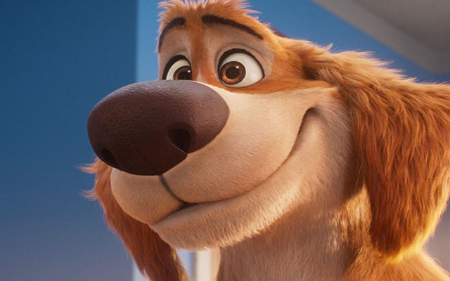 Charlie the Wonderdog