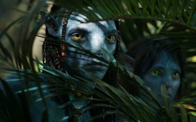 Avatar: The Way of Water 3D (Re-release)