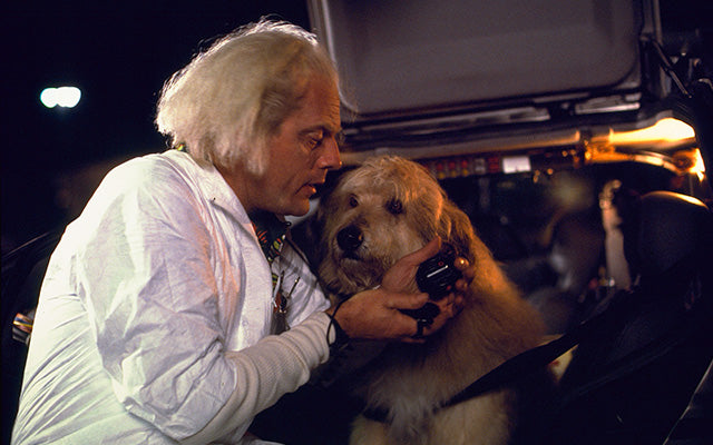 Back to the Future - 40th Anniversary