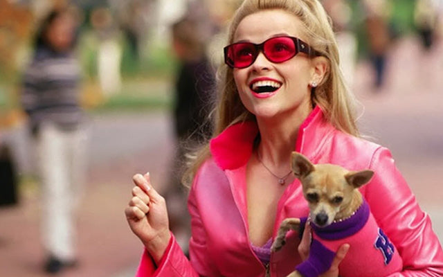 Legally Blonde 25th Anniversary