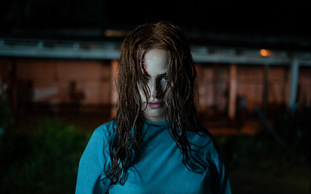 The Strangers: Chapter 2