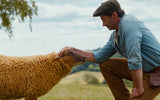 The Sheep Detectives