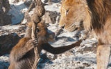 Mufasa: The Lion King